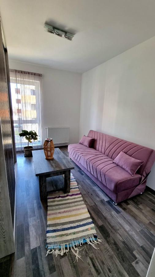 Swan Brasov Apartment Extérieur photo
